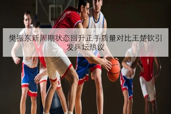 樊振东新周期状态回升正手质量对比王楚钦引发乒坛热议